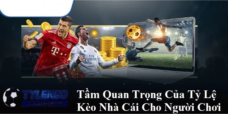 Trang chủ 145 Tầm quan trọng của tỷ lệ nhà cái cho người chơi