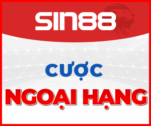 logo sin88